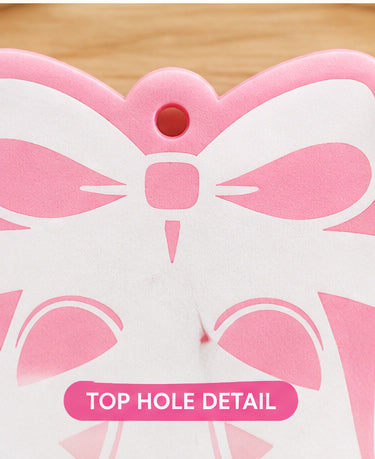 Ballet Slippers & Bow Hair Tie Holder – Pink Dance Bag Elastic Organizer Keyring